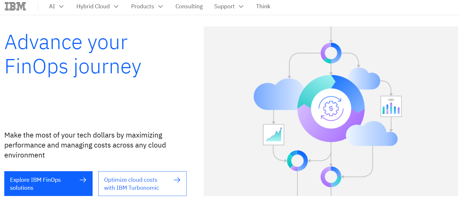 IBM - generative ai providers